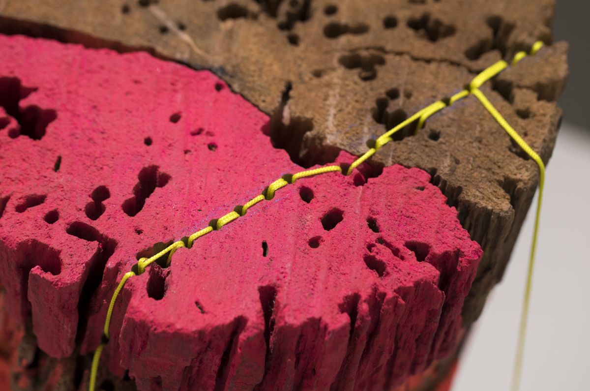 コールセレストゥ-3