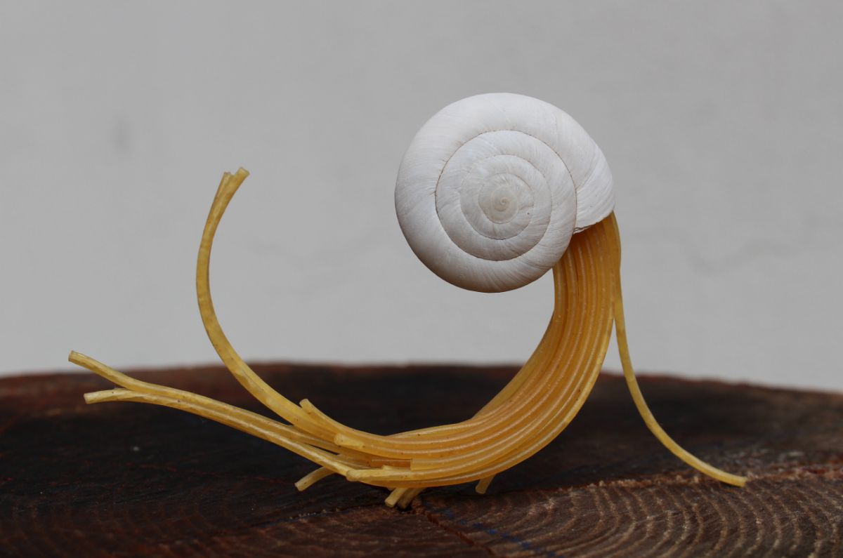 今夜はスパゲティ-2