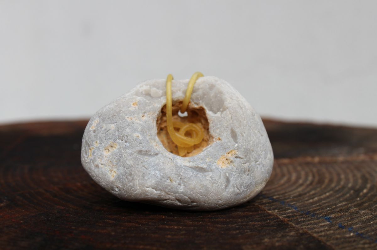 今夜はスパゲティ-3