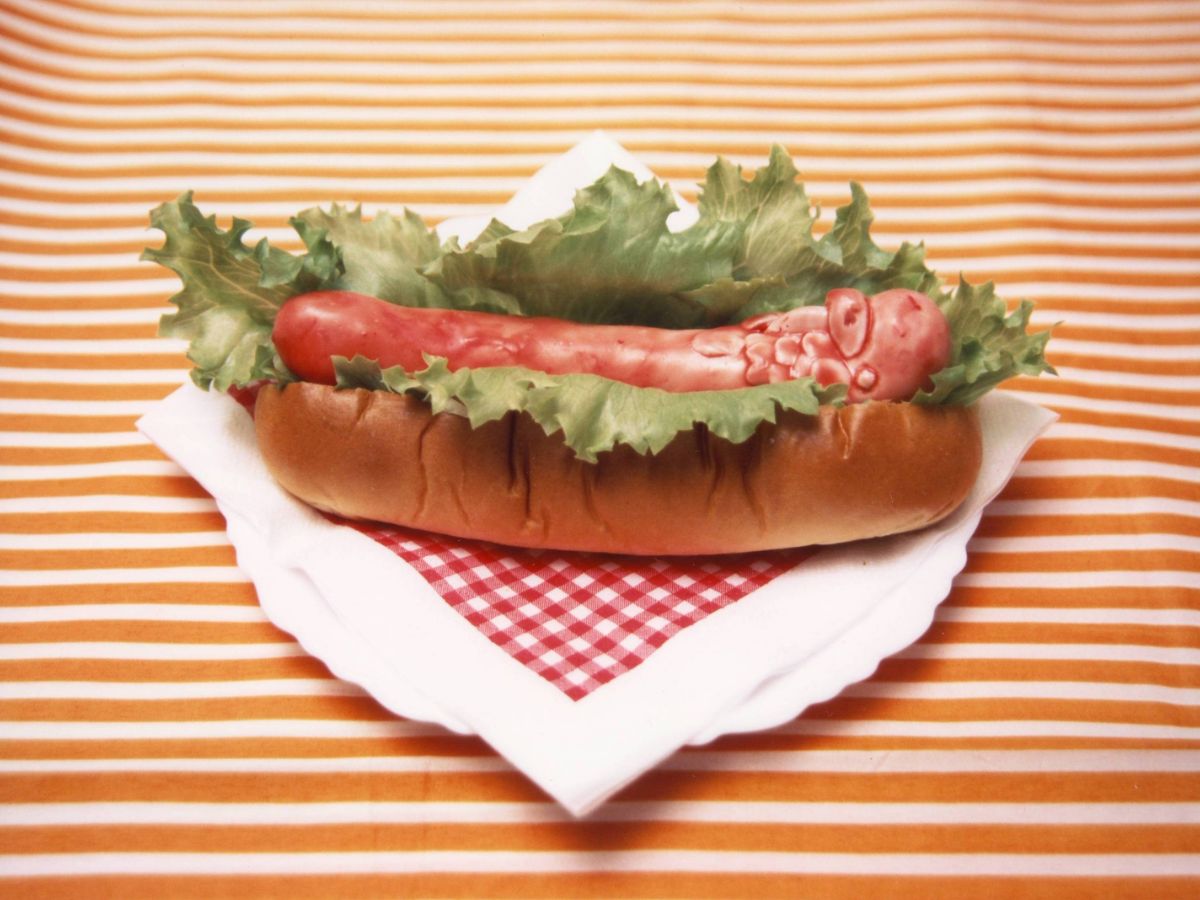 インコドッグ-1