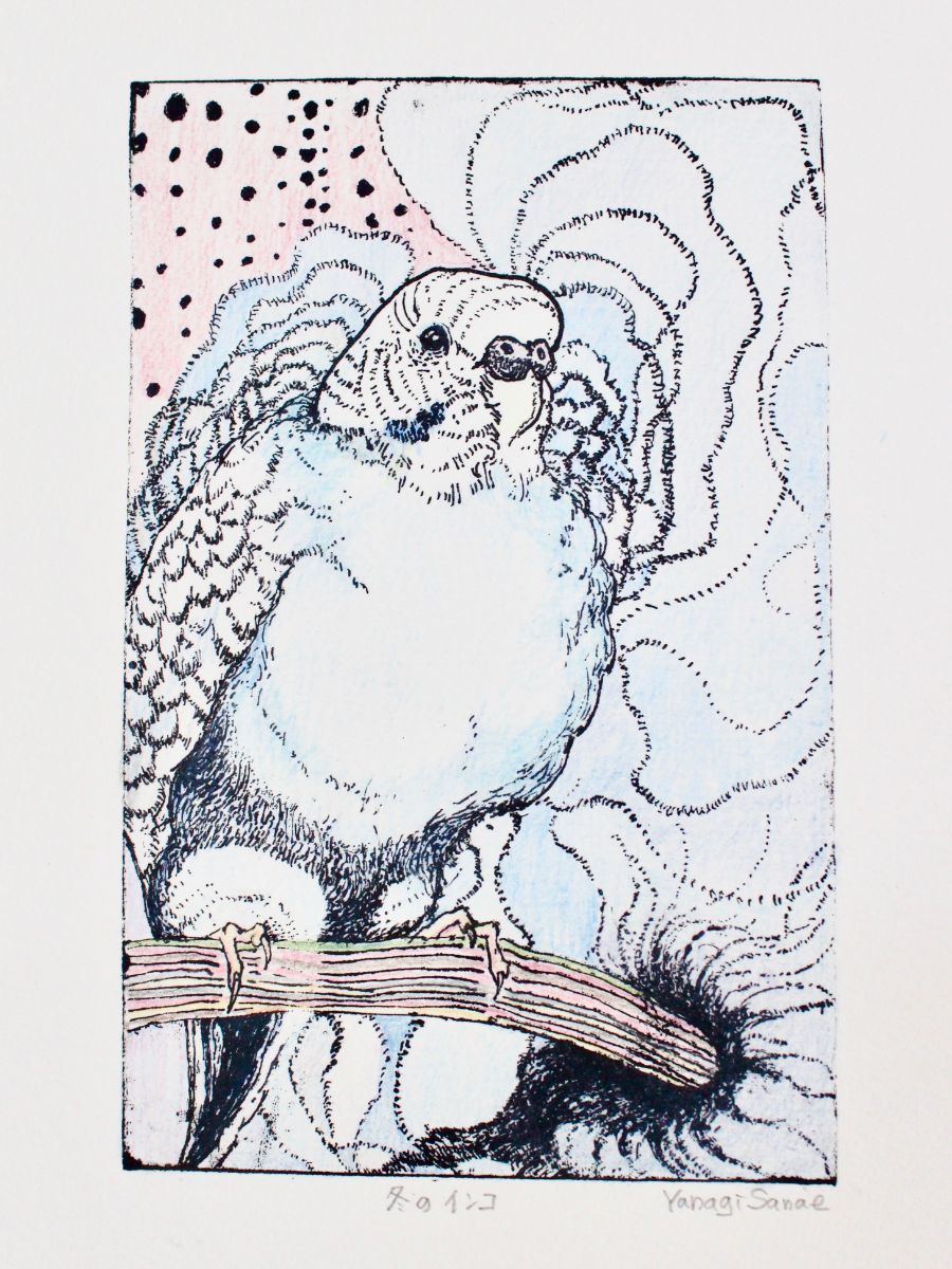 冬のインコ-1