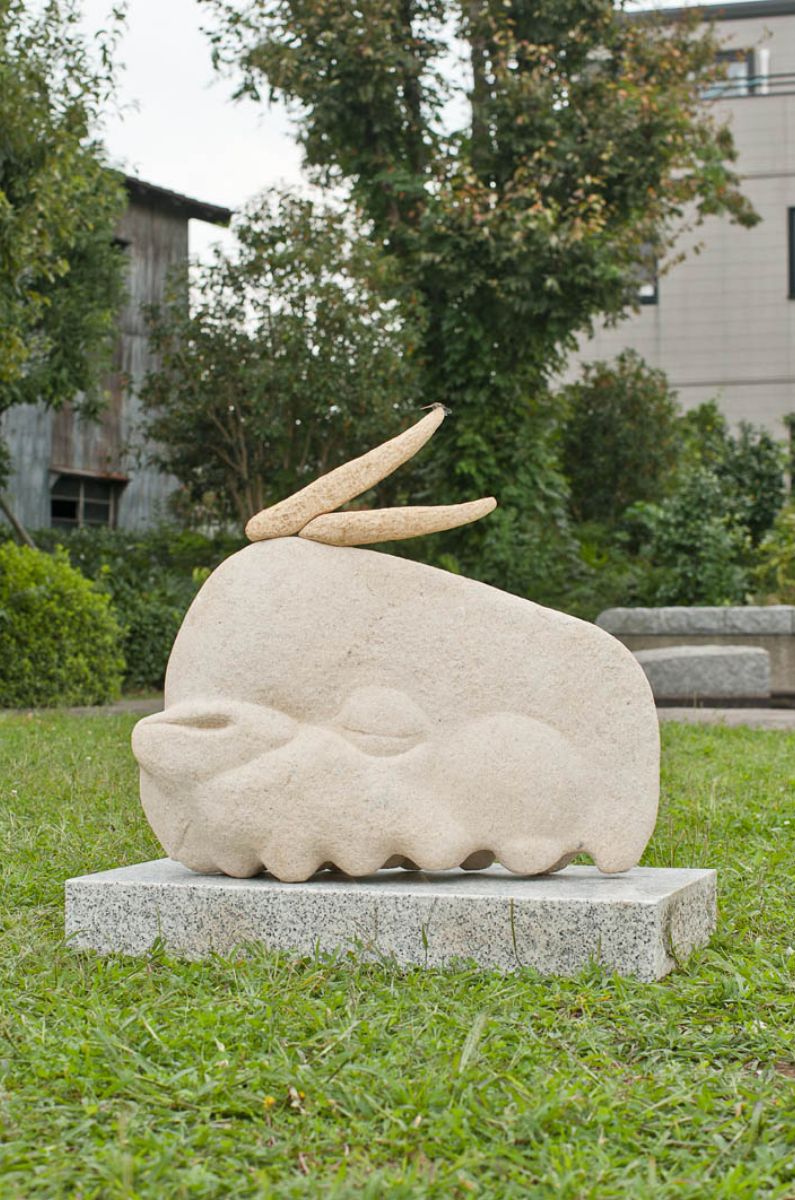 オカメインコ-1