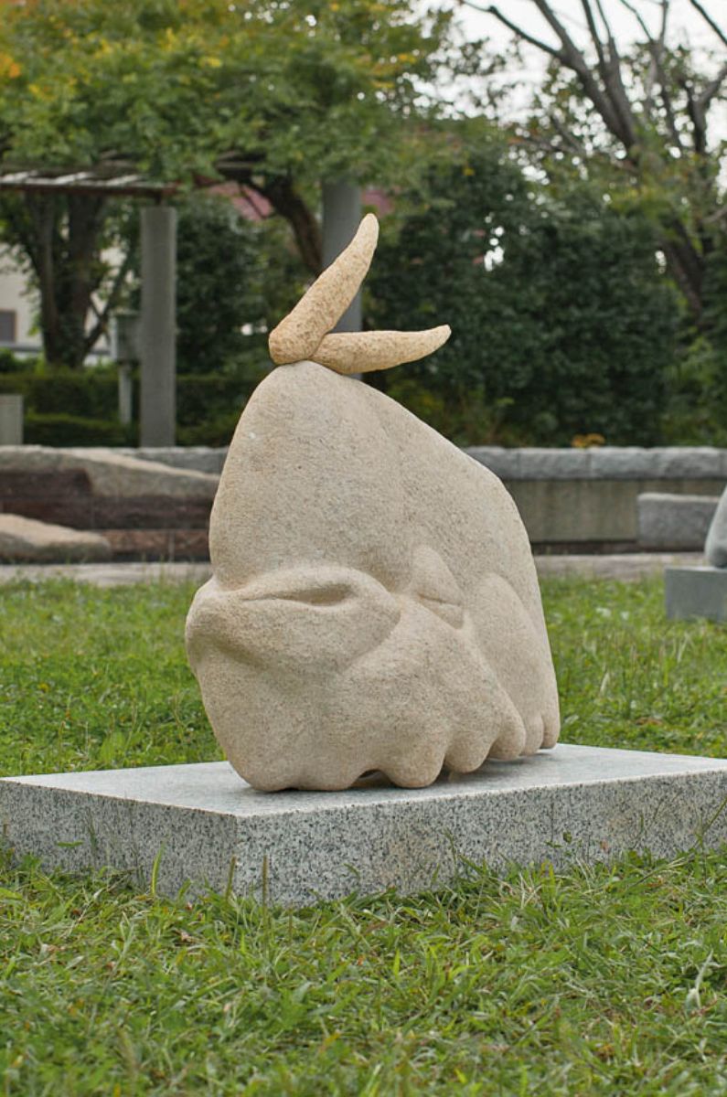 オカメインコ-2