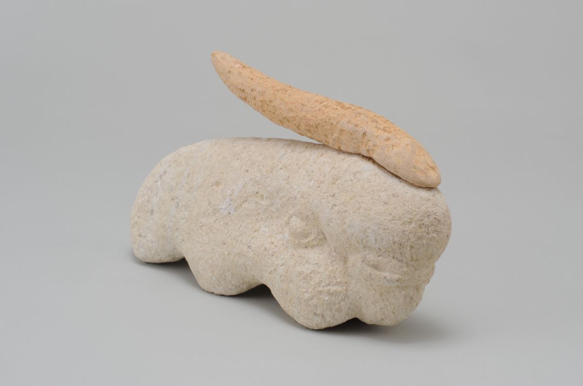 頭の伸びたオカメインコ-2