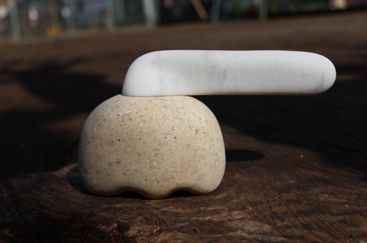 オカメインコ-1